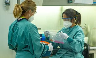 L'Espagne a commencé sa campagne de vaccination ce dimanche