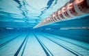 Primes du championnat du monde de natation 2025, combien gagnent les médaillés ?