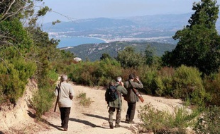 La Fédération des chasseurs de Haute-Saône, soupçonnée d'être impliquée dans la mise à mort de plus d'une centaines d'animaux protégés, est visée par une enquête de l?Office national de la chasse et de la faune sauvage (ONCFS), a-t-on appris lundi de source judiciaire.