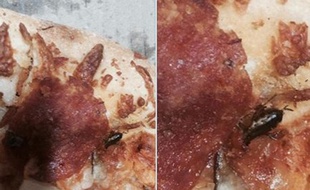 Cafard dans une pizza Domino's au Pérou, février 2015.