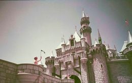 Revivez en images la folle ouverture du tout premier Disneyland il y a 70 ans