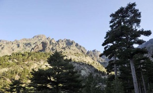 Vue prise le 17 août 2008, depuis la station de ski d'Asco, de la face nord du Monte Cinto