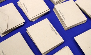 Illustration vote dans le Nord en 2011