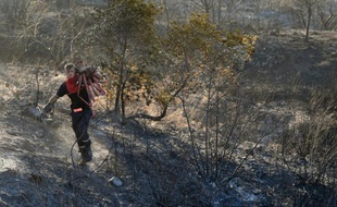 La zone brûlée d'un feu de forêt, après l'intervention des pompiers, le 27 juillet 2015 à Bagnols-en-Forêt (Var)