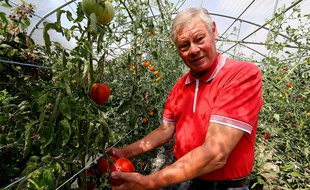 Jean-Claude Terlet dans son exploitation à Celles-sur-Aisne, dans le Nord de la France. Cet agriculteur a déposé plainte contre Mosanto.