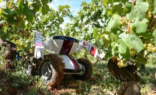 Un GPS dans la tête, deux bras, quatre roues, six caméras et une capacité de taille de 600 pieds de vigne par jour: un robot vigneron fait son entrée sur le marché du travail, mais, rassure son concepteur, c'est pour compenser un déficit de main-d'oeuvre.