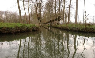 Des canaux du Marais Poitevin, en mars 2007 à Coulon