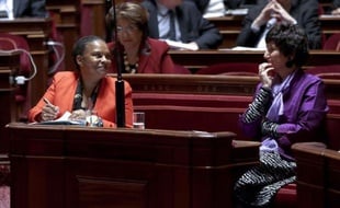 Le Sénat a fait un grand pas en avant vers l'adoption du mariage homosexuel avec le vote dans la nuit de mardi à mercredi du premier article du projet de loi qui ouvre le mariage aux personnes de même sexe, malgré la combativité de la droite sénatoriale et les manifestations de rue.