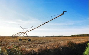 Agriculture bio et circuits courts font partie des propositions des candidats.