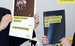 Le dernier rapport d'Amnesty International sur la peine de mort dans le monde