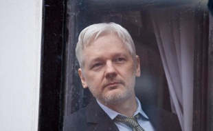 le fondateur de Wikileaks Julian Assange à l'intérieur de l'ambassade d'Equateur à Londres, le 5 février 2016