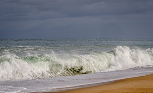 Une plage landaise. Illustration.