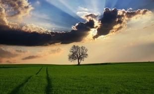 Quoi de mieux que l'air de la campagne?