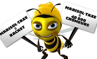Le collectif «les abeilles de l'assurance» rebaptisé «les bonnets jaunes».