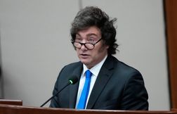 Le peso argentin s’effondre, Javier Milei dénonce une « panique politique »