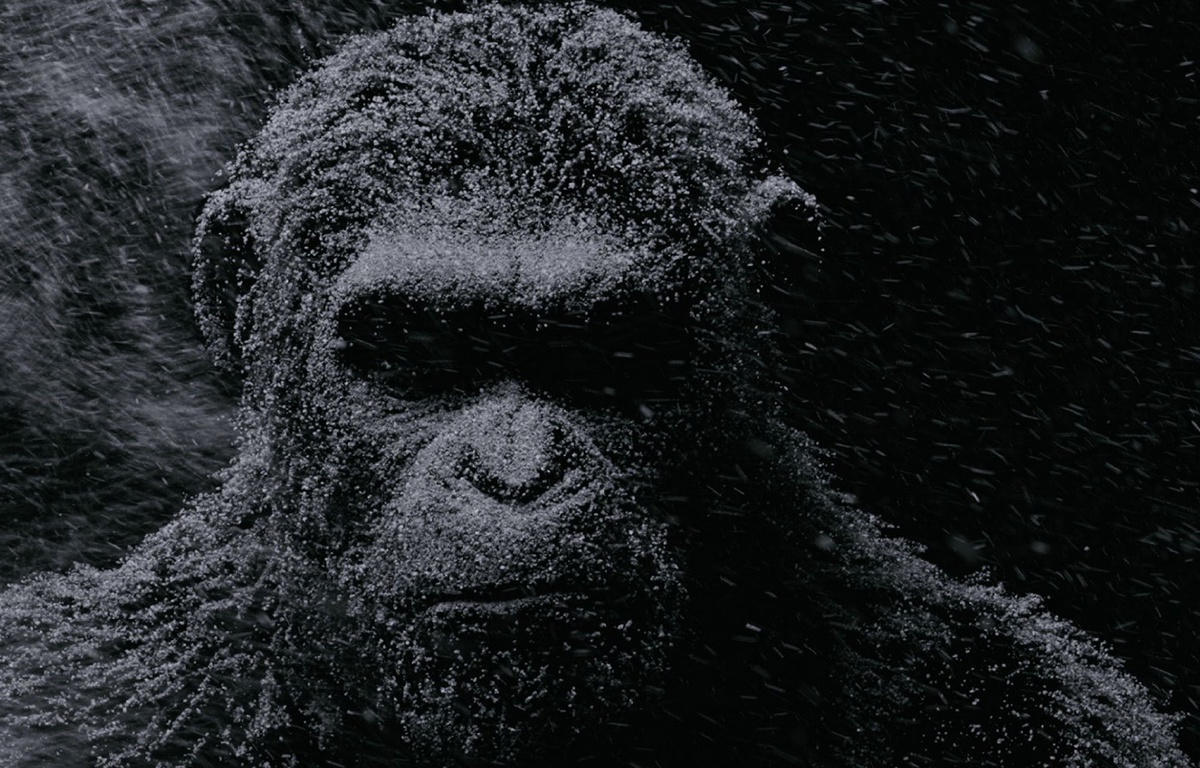 VIDEO. Andy Serkis «Quand je vois César dans "La planète des singes", je me reconnais bien»
