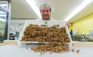 Un employé de l'usine "L'Atelier à pâtes" montre des pâtes fabriquées à base d'insectes, le 8 février 2016 à Thiéfosse (Vosges)