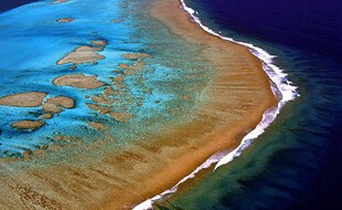 La France est au 4e rang des pays coralliens, notamment grâce au récif de la Nouvelle-Caledonie, l'un des plus grands au monde.