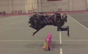 Cheetah 2, le robot guépard.