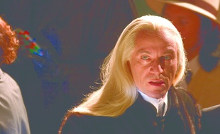 Le méchant de Harry Potter donne son nom à une guêpe.