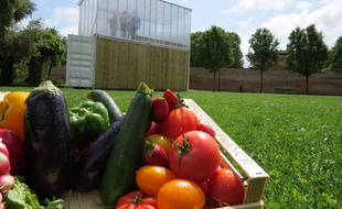 La première ferme urbaine où sont cultivés des légumes grâce à la technique de la culture aquaponique est expérimentée au Jardin Raymond VI, à Toulouse, par Citizen Farm.