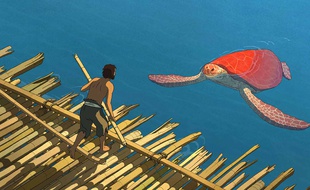 La tortue rouge de Michaël Dudok de Wit