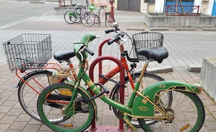 Rebaptisé "green hornet", ce velib repeint vert et or a-t-il fait le trajet entre Paris et Strasbourg à la forces des jambes de son nouveau "propriétaire" ?