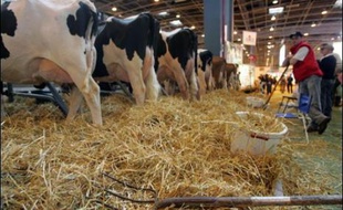 Visité par tous les candidats à l'élection présidentielle, mais boudé par José Bové, le Salon de l'Agriculture de Paris a connu, avec plus de 600.000 entrées, un succès populaire après une édition 2006 marquée par une baisse de fréquentation en raison de la grippe aviaire.