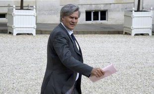 Le ministre de l'Agriculture, Stéphane Le Foll, le 24 juin 2015 à Paris