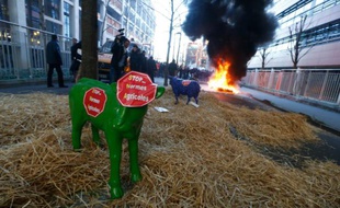 Une sculpture d'agneau couverte d'autocollants "Stop aux normes agricoles", lors d'une manifestation d'agriculteurs devant le siège de l'Agence de service de paiement (ASP), le 16 février 2016 à Montreuil, près de Paris