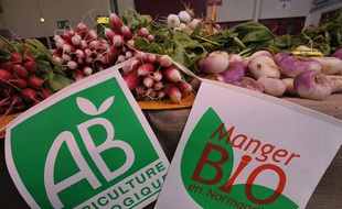 Des légumes bio au marché de Caen en mai 2008.