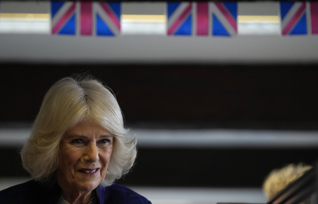 Covid-19 : Camilla, l'épouse du prince Charles, a été à son tour testée positive