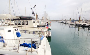 Le port de plaisance de Saint-Malo.