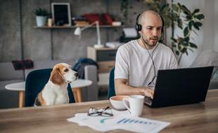 One man, young man sitting on sofa at home, working on laptop, wearing headset, his pet dog is sitting next to him on sofa.