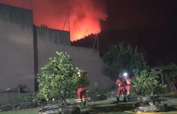 Plus de 1.500 personnes évacuées de Tarifa en raison d‘un incendie