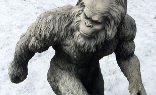 Dans le Montana, un homme a tiré sur un chasseur qu'il a confondu avec Bigfoot.