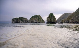 L'image de Greenpeace montre l'état de l'eau sur la plage de Khalaktyr.