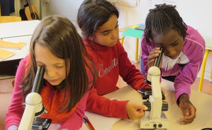 Paris, le 10 octobre 2014, Reportage dans un atelier périscolaire des Savanturiers dans une Ècole primaire du 19e arrondissement