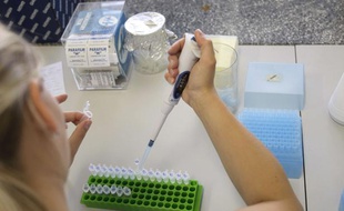 Recherches dans un laboratoire en République tchèque le 1er juin 2011.