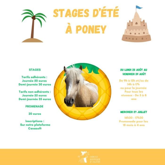Stages d'Été