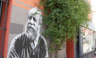 Murs, bacs ou bases des arbres reçoivent des arbustes ou des fleurs un peu partout en ville.
