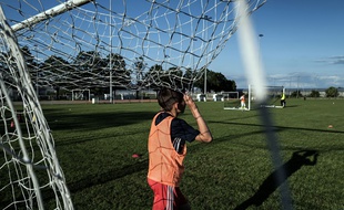 En un an, la cellule du ministère des Sports a reçu des signalements émanant de la moitié des fédérations sportives