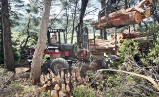 Les communes veulent développer le chauffage au bois de débroussaillement.