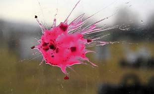 Une bille de peinture sur un terrain de jeux de paintball.