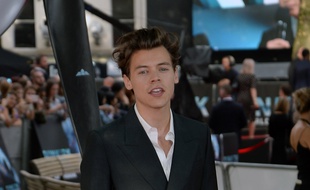 Le chanteur Harry Styles