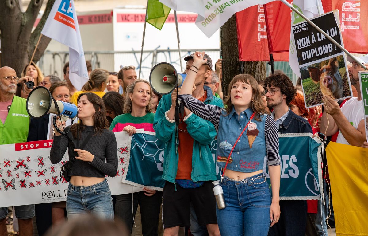 Pétition contre la loi Duplomb : Qui est Eléonore Pattery, l'étudiante qui a lancé le mouvement ?