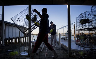 A proximité de Washington, les habitants de la ville de Tangier aux Etats-Unis sont menacés par le changement climatique et la montée du niveau de la mer.