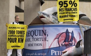 Des militants de l'organisation Greenpeace devant le siège de la société Petit Navire le 30 octobre 2014 à Paris