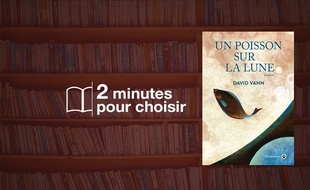 Un poisson sur la lune