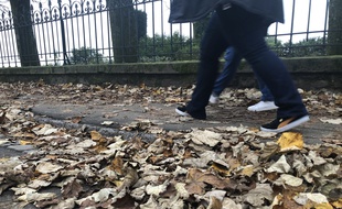 Le 6 décembre 2019- Illustration de feuilles mortes quartier Chantenay à Nantes